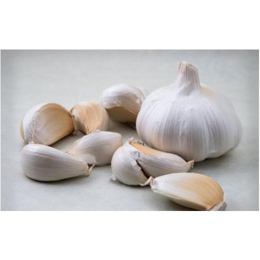 ふるさと納税 野菜類 和歌山県 紀美野町 由良町産にんにく 優品 約1.8kg (900g×2) M〜Lサイズ 2026年4月下旬〜順次発送予定/ にんにく ニンニク 野菜 やさ…