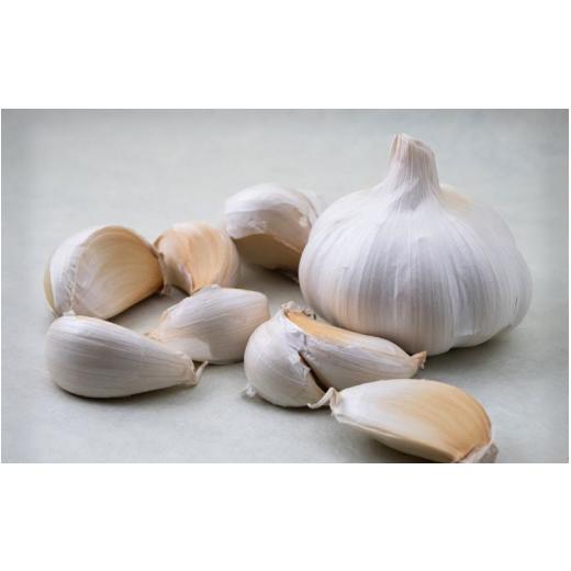 ふるさと納税 野菜類 和歌山県 紀美野町 由良町産にんにく 秀品 Lサイズ 約2kg(1kg×2) 2026年4月下旬〜順次発送予定 / にんにく ニンニク 野菜 やさい 食品 …