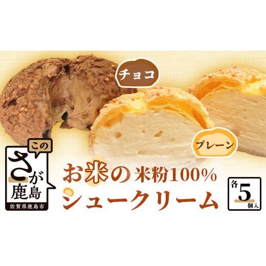 ふるさと納税 焼菓子・チョコレート 佐賀県 鹿島市 米粉のクッキーシューと米粉のチョコクッキーシュー10個詰め合わせ B-480 米粉 チョコレート シュークリー…