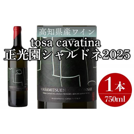 ふるさと納税 ワイン 白ワイン 高知県 香南市 高知県産ワイン tosa cavatina 正光園シャルドネ2025 (750ml×1本) - 白 辛口 お酒 さけ アルコール ボトル 瓶 …