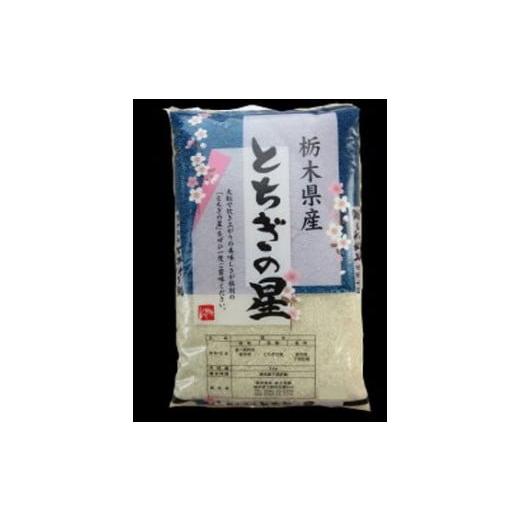 ふるさと納税 栃木県 下野市 No.247 とちぎの星10kg(5kg×2袋)[栃木県共通返礼品・栃木県産] / 白米 精米 お米 ブランド米 栃木県 特産品