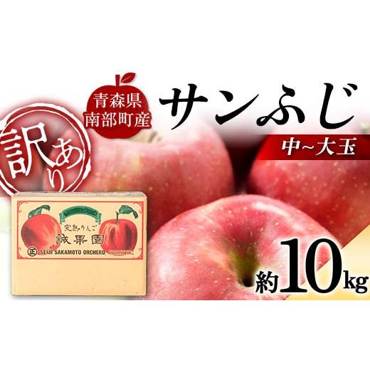 ふるさと納税 りんご 青森県 南部町 訳あり 青森産 完熟 サンふじ （中