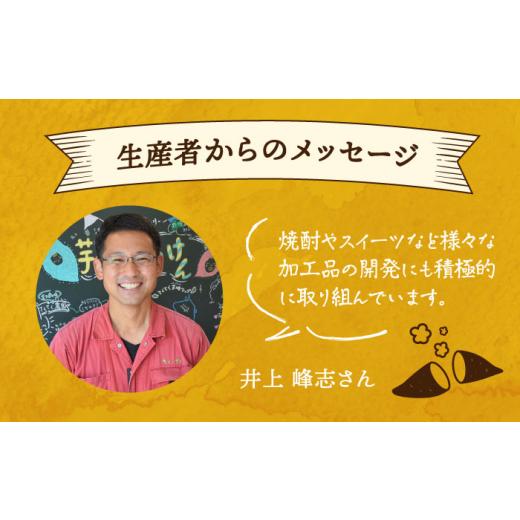 ふるさと納税 菓子 スナック 広島県 江田島市  全6回定期便 パリパリ食感がとまらない さつまいもチップス 6袋セット｜さつまいもチップス さつまいも サツマ…_6