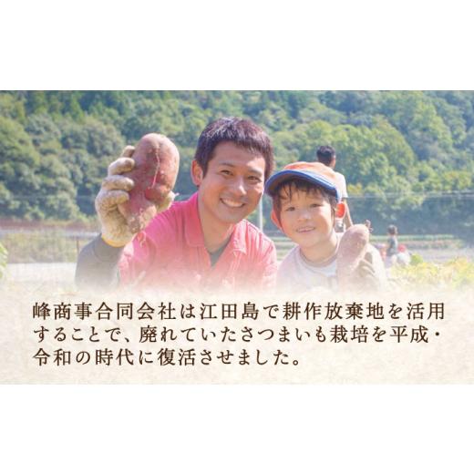 ふるさと納税 菓子 スナック 広島県 江田島市  全6回定期便 パリパリ食感がとまらない さつまいもチップス 6袋セット｜さつまいもチップス さつまいも サツマ…_7