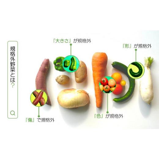 ふるさと納税 セット・詰合せ 兵庫県 南あわじ市  シーサイドグロサリー 淡路島産規格外野菜ボックス・Sサイズ（お一人様向け）の画像