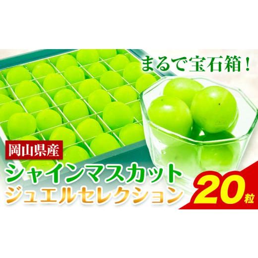 ふるさと納税 ぶどう マスカット 岡山県 浅口市 2026年先行予約 シャインマスカット ジュエルセレクション 20粒 ぶどう 岡山県産[2026年9月上旬-10月末頃出…