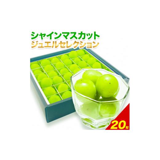 ふるさと納税 岡山県 浅口市 シャインマスカット ジュエルセレクション 20粒 [2024年先行予約] ぶどう 岡山県産《9月上旬-11月中旬頃出荷(土日祝除く)》 ハレ…｜furusatochoice｜02