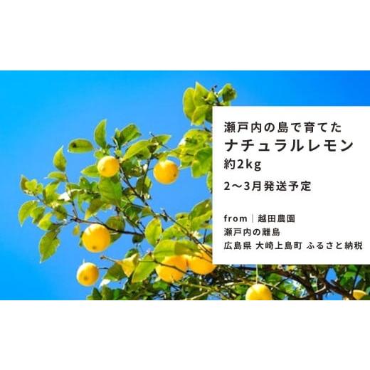 ふるさと納税 みかん・柑橘類 レモン 広島県 大崎上島町 予約 2〜3月発送 瀬戸内の島で育てた広島レモン 約2kg 越田農園 国産 大崎上島 離島 クエン酸 ビタミ…