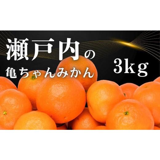 ふるさと納税 果物類 みかん 広島県 大崎上島町 11〜2月発送 瀬戸内の亀ちゃん みかん 約3kg 国産 瀬戸内 広島 大崎上島 離島 糖度 濃厚 柑橘 たっぷり お裾…