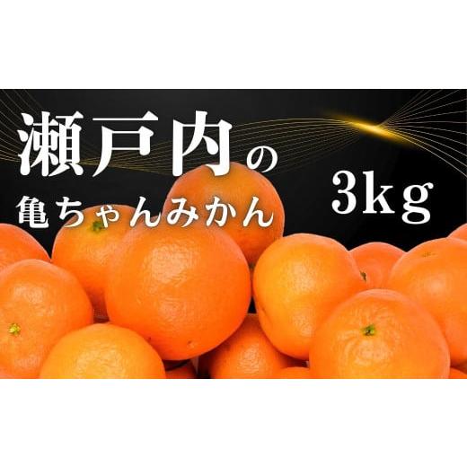 ふるさと納税 広島県 大崎上島町 [11〜2月発送] 大崎上島産 糖度が高くて味が濃い!亀ちゃんみかん約3kg