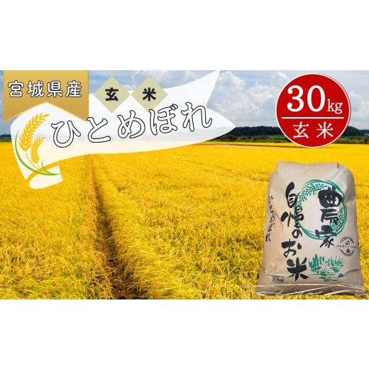 ふるさと納税 米 ひとめぼれ 宮城県 東松島市  令和7年産米 ひとめぼれ 玄米 30kg × 1袋 ヒトメボレ 米 玄米 お米 おこめ 宮城県 東松島市 オンラインワンス…の画像