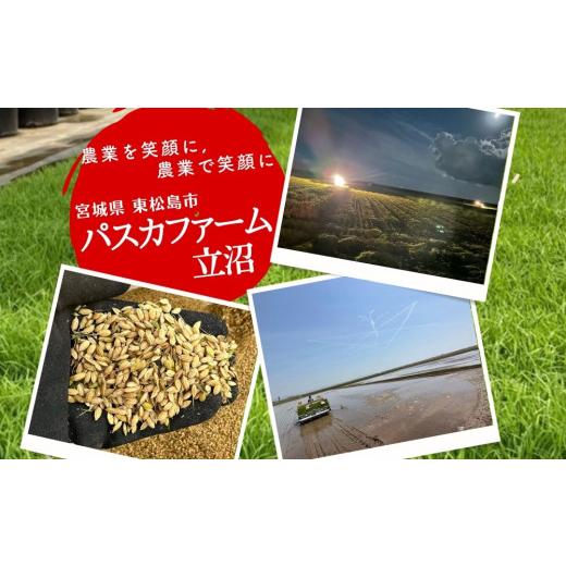 ふるさと納税 米 ひとめぼれ 宮城県 東松島市  令和7年産米 ひとめぼれ 玄米 30kg × 1袋 ヒトメボレ 米 玄米 お米 おこめ 宮城県 東松島市 オンラインワンス…の画像