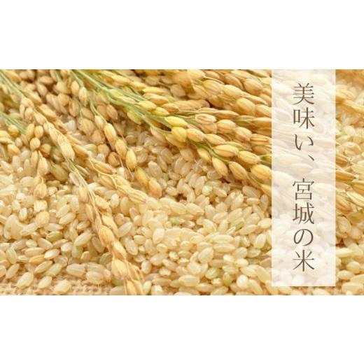 ふるさと納税 米 ひとめぼれ 宮城県 東松島市  令和7年産米 ひとめぼれ 玄米 30kg × 1袋 ヒトメボレ 米 玄米 お米 おこめ 宮城県 東松島市 オンラインワンス…の画像
