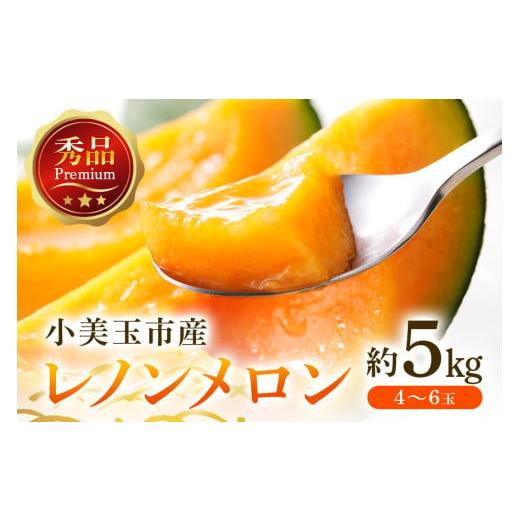 ふるさと納税 メロン メロン赤肉 茨城県 小美玉市 数量限定・2026年先行予約 レノンメロン 赤肉 約5kg 4玉〜6玉 秀品 メロン 赤肉メロン 高級 品種 果物 くだ…