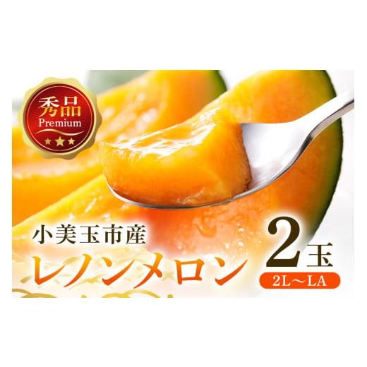 ふるさと納税 メロン メロン赤肉 茨城県 小美玉市 数量限定 2026年先行予約 レノンメロン 赤肉 2玉 秀品 メロン 赤肉メロン 高級 品種 果物 くだもの フルー…