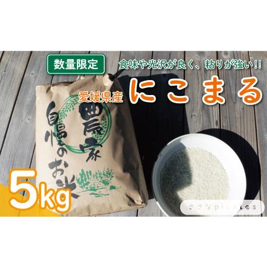 ふるさと納税 愛媛県 愛南町 令和5年産 にこまる 5kg 白米 米 こめ 精米 数量限定 産地直送 農家直送 粘り 国産 愛南町 愛媛県 ささなピクルス