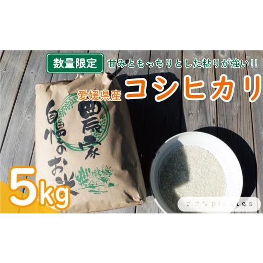 ふるさと納税 愛媛県 愛南町 令和5年産 コシヒカリ 5kg 白米 こしひかり 米 こめ 精米 数量限定 産地直送 農家直送 粘り 甘み もっちり 国産 愛南町 愛媛県 さ…