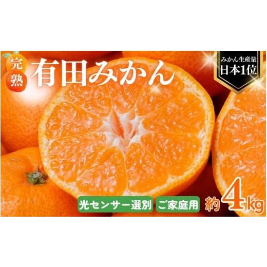 ふるさと納税 果物類 みかん 和歌山県 北山村 2026年1月発送予約 ご家庭用 こだわりの有田みかん 約4kg+250g(傷み補償分) 光センサー選別 農家直送 / みか…