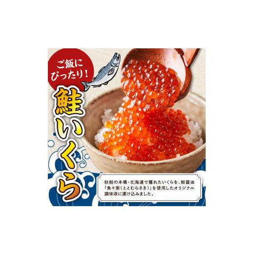 ふるさと納税 いくら 北海道 えりも町 えりも マルデン特製 北海道産いくら醤油漬250g er002-006-aの画像