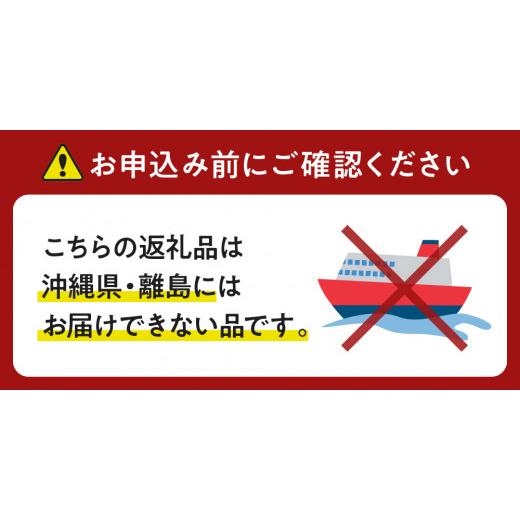 ふるさと納税 北海道 えりも町 えりも【マルデン特製】北海道産鮭フライ80g×20枚【er002-017-a】｜furusatochoice｜09