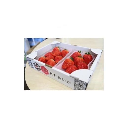 ふるさと納税 いちご 栃木県 小山市 いちご王国の逸品 小山市産・「とちあいか」 280g×2P 1260981