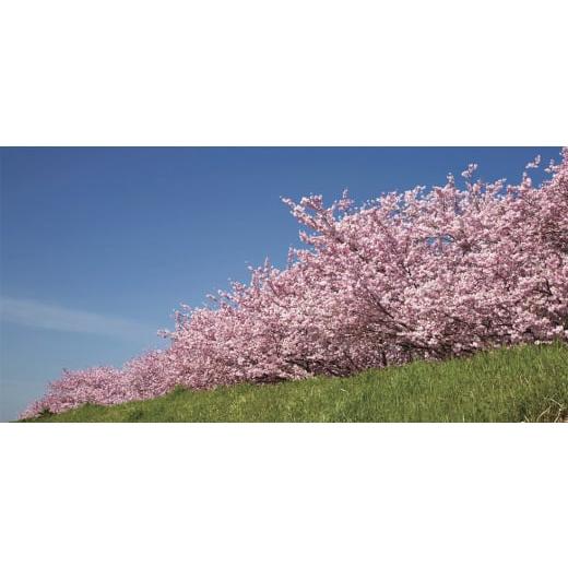 ふるさと納税 タオル・寝具 敷布団 栃木県 小山市 APHRODITA 寧々布団セット ボリュームタイプセミダブルロング日本製 創業150年の信頼と実績 1355129の画像