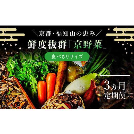 ふるさと納税 セット・詰合せ 京都府 福知山市 3ヵ月定期便 鮮度抜群「京野菜」 食べきりサイズ6〜7品詰合せ(毎月×3回) fc-CM003 ふくこめoffice