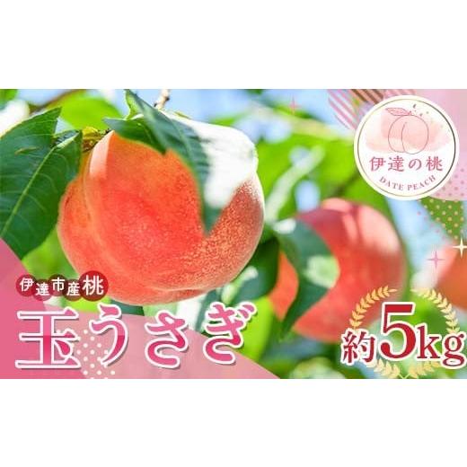 ふるさと納税 もも 福島県 伊達市 2026年出荷分先行予約 福島県産 玉うさぎ 約5kg (10〜18玉) サトー農園 新品種 たまうさぎ 固め 伊達の桃 桃 フルーツ 果物…