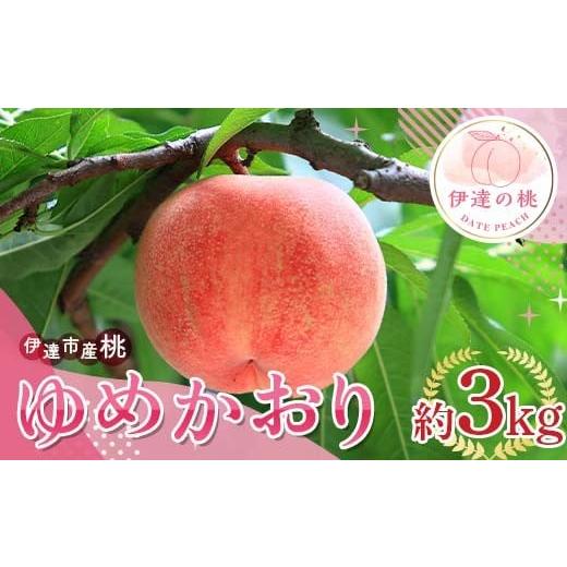 ふるさと納税 もも 福島県 伊達市 2026年出荷分先行予約 福島県産 ゆめかおり 約3kg (6〜12玉) サトー農園 新品種 超大玉 大玉 固め 伊達の桃 桃 フルーツ 果…