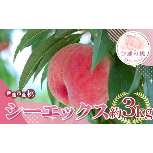 ふるさと納税 もも 福島県 伊達市  2026年出荷分先行予約 福島県産 シーエックス 約3kg (6〜12玉) サトー農園 大玉 固め 伊達の桃 桃 フルーツ 果物 もも モモ…の画像