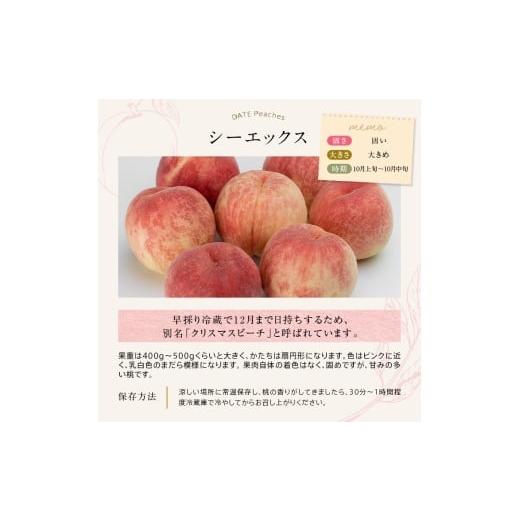 ふるさと納税 もも 福島県 伊達市  2026年出荷分先行予約 福島県産 シーエックス 約3kg (6〜12玉) サトー農園 大玉 固め 伊達の桃 桃 フルーツ 果物 もも モモ…の画像
