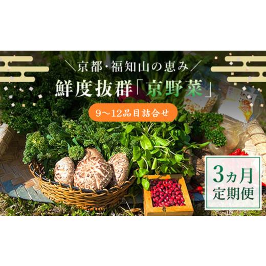 ふるさと納税 セット・詰合せ 京都府 福知山市 3ヵ月定期便 鮮度抜群「京野菜」9〜12品目詰合せ(毎月×3回) fc-CM007 ふくこめoffice