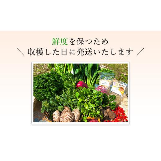ふるさと納税 セット・詰合せ 京都府 福知山市  6ヵ月定期便 鮮度抜群「京野菜」9〜12品目詰合せ(毎月×6回) fc-CM008 ふくこめoffice_2