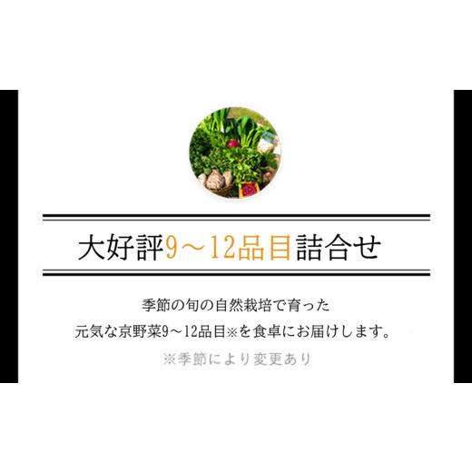 ふるさと納税 セット・詰合せ 京都府 福知山市  6ヵ月定期便 鮮度抜群「京野菜」9〜12品目詰合せ(毎月×6回) fc-CM008 ふくこめoffice_3