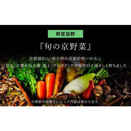 ふるさと納税 セット・詰合せ 京都府 福知山市  6ヵ月定期便 鮮度抜群「京野菜」9〜12品目詰合せ(毎月×6回) fc-CM008 ふくこめoffice_4