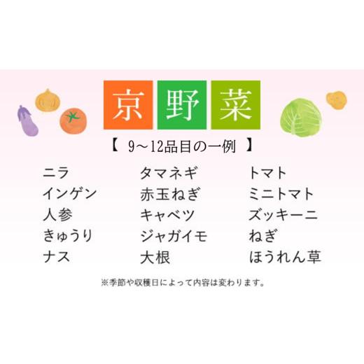 ふるさと納税 セット・詰合せ 京都府 福知山市  6ヵ月定期便 鮮度抜群「京野菜」9〜12品目詰合せ(毎月×6回) fc-CM008 ふくこめoffice_6
