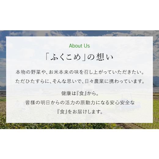 ふるさと納税 セット・詰合せ 京都府 福知山市  6ヵ月定期便 鮮度抜群「京野菜」9〜12品目詰合せ(毎月×6回) fc-CM008 ふくこめoffice_7