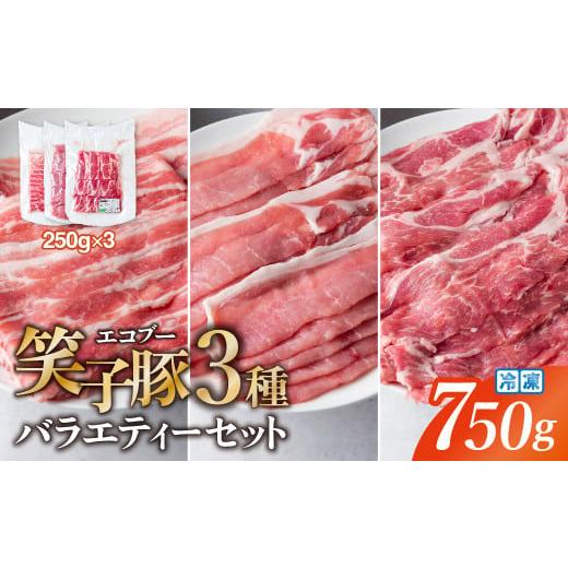 ふるさと納税 豚肉 セット 岩手県 金ケ崎町 お試し 豚肉 小分け 真空パック 冷凍 スライス肉 3種 バラエティーセット 750g (250g×3袋) しゃぶしゃぶ用(厚さ1…