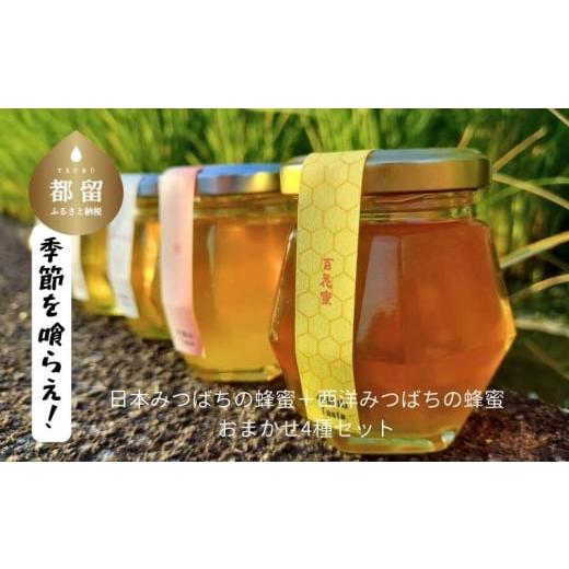 ふるさと納税 山梨県 都留市 日本みつばちの蜂蜜+西洋みつばちの蜂蜜おまかせ4種セット 100g×4|日本みつばち はちみつ ハチミツ 和蜂