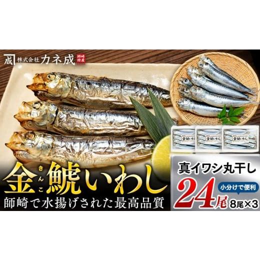 ふるさと納税 愛知県 南知多町 いわし 丸干し 24尾 ( 8尾 × 3 パック ) 干物 冷凍 小分け 愛知県 南知多町 ご飯 ごはん おかず おつまみ 魚 さかな 鰯 金鯱 …