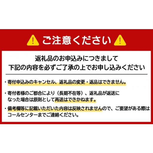 ふるさと納税 北海道 千歳市 セコマ サイダー 500ml 24本 1ケース 北海道 千歳製造 飲料 炭酸 ペットボトル セイコーマート｜furusatochoice｜08