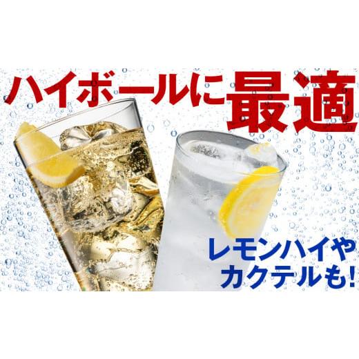 ふるさと納税 炭酸飲料 北海道 千歳市  定期便12ヵ月 セコマ 強炭酸水 500ml 24本 1ケース 北海道 千歳製造 飲料 炭酸 ペットボトルの画像