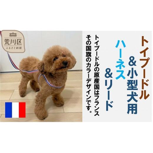 ふるさと納税 雑貨・日用品 東京都 荒川区 トイプードル向けハーネス&リード(カラー:青白赤) 001-018-1 青白赤