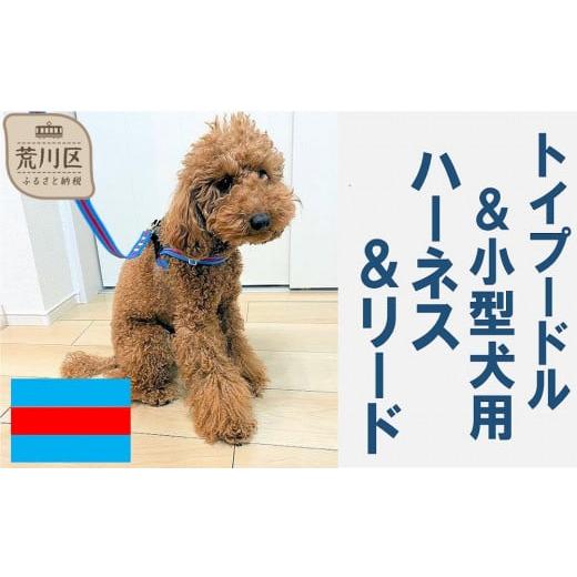ふるさと納税 雑貨・日用品 東京都 荒川区 トイプードル向けハーネス&リード(カラー:青赤青) 001-018-6 青赤青