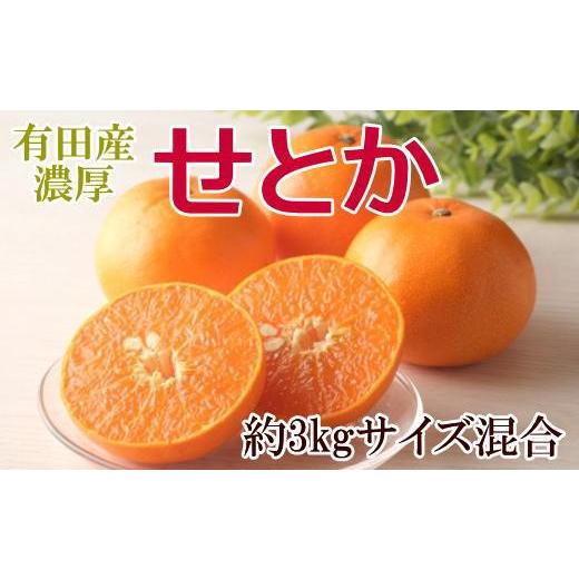 ふるさと納税 みかん・柑橘類 オレンジ 和歌山県 有田川町 一度は食べていただきたい「有田産のせとか」約3kg(サイズ混合) 2027年2月中旬頃より順次発送
