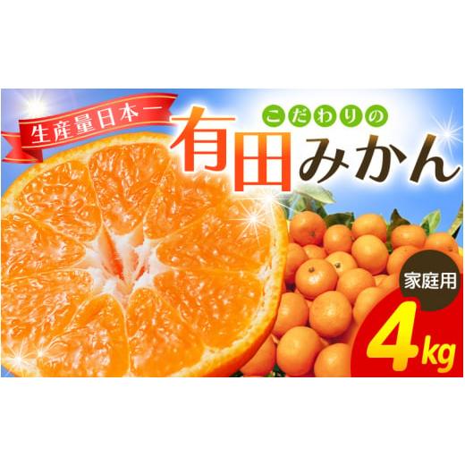 ふるさと納税 果物類 みかん 和歌山県 紀美野町 2025年11月発送予約分 ＼光センサー選別/ 農家直送 家庭用 こだわりの有田みかん 約4kg+250g(傷み補償分) …
