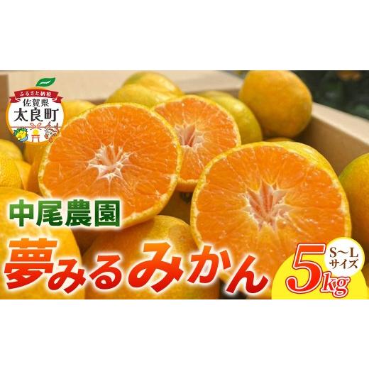 ふるさと納税 果物類 みかん 佐賀県 太良町 NA10x1 中尾農園の夢みるみかん(S-L)5kg 2026年10月中旬~2027年1月下旬発送予定 温州みかん 早生 温州 みかん …