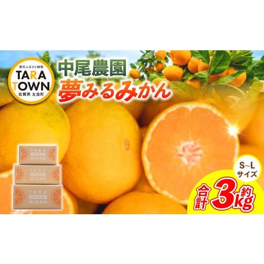 ふるさと納税 果物類 みかん 佐賀県 太良町 O167x1 中尾農園の夢みるみかん(S-L)3kg 2026年10月中旬~2027年1月下旬発送予定 夢みるみかん 温州みかん 早生 …