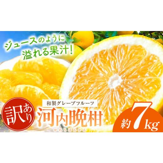 ふるさと納税 みかん・柑橘類 熊本県 玉名市 訳あり 河内晩柑 約 7kg 後藤農園 | 柑橘 みかん 晩柑 河内晩柑 フルーツ 晩柑 ジューシー 河内晩柑 家庭用 和製 …