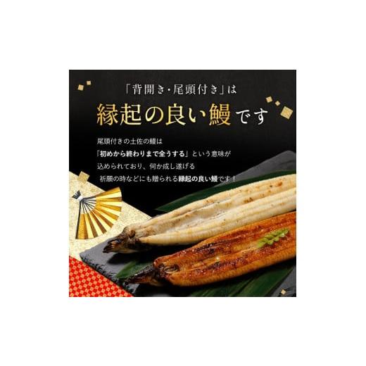 ふるさと納税 高知県 高知市 完全無投薬 仁淀川の伏流水で育てた贅沢うなぎ蒲焼き 中（約150ｇ×1尾 ）ギフトセット 池澤鮮魚｜furusatochoice｜04